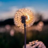 仲夏清风