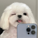 今天看一一