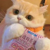 肖申克的舅母