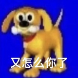 关你猫事