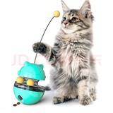 流浪猫救助