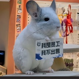 椰香咖喱鸡腿饭