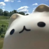糊糊