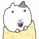 沈敬实