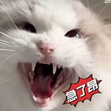小桃花