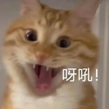 我爱看帅哥美女