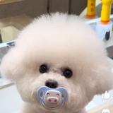 不会无脑差评