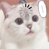 枫城