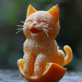 豆友qhMC3Bcong