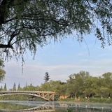 大塔