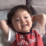 逗逗飞