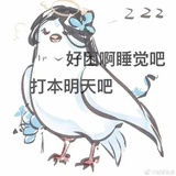 轻风扶细柳