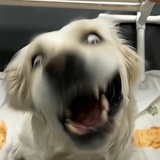 豆友HznlYu1L1A