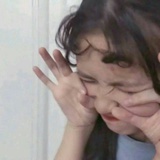伍壹柒