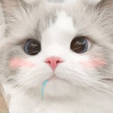 豆友y1MuTnOKaU