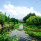 恍革梦