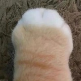幻象疾行