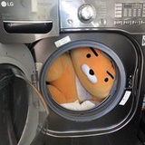 卡皮巴拉