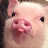 豆友k2o1KEVlGc