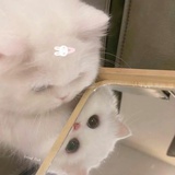 豆友7518689220