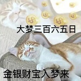 自由酱