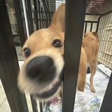 睁眼说瞎话