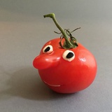 粑粑配方调制员