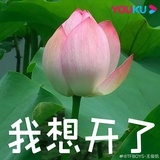 豆友_-ytZ1vYsY