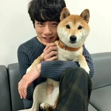 小羊