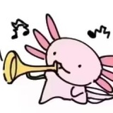 o看我i都不错吧