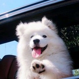 豆友7EuwfEZB3o