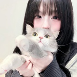 为了磕cp下回db