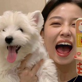 快乐六饼