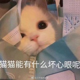 微信用户