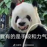 宝宝宝宝乖