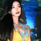 半两月光