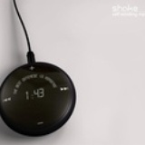 狐狸王
