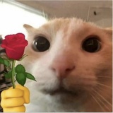 零零七.