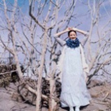 肉肉的Alice