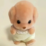 Kitty _00
