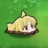 纸张