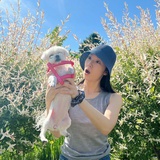 不听不听我不听