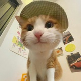 那咋了