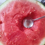 .西瓜🍉大又圆.