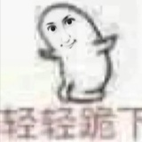 羽与雨
