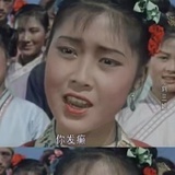 TF家族-刘三姐