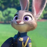 朱迪警官