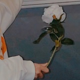没有鱼
