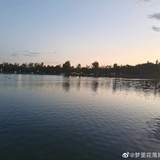 坐看云起时