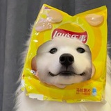 土豆